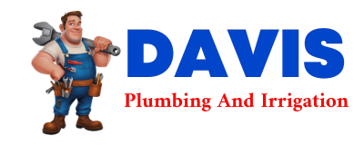 Trusted plumber in HULEN